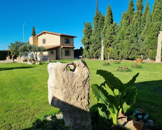 Venta Casa o chalet en C/ Partida Poligono 43 355
